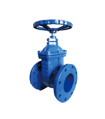 BS Standard Gate Valve